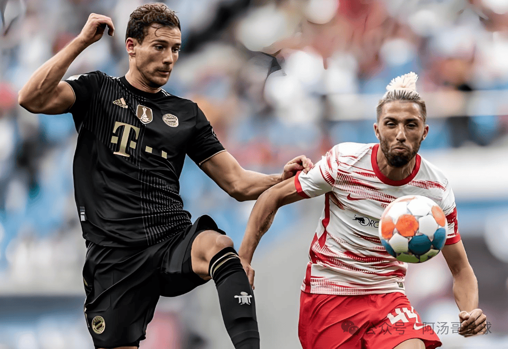 莱比锡德甲连战连捷，实力不可小觑的简单介绍