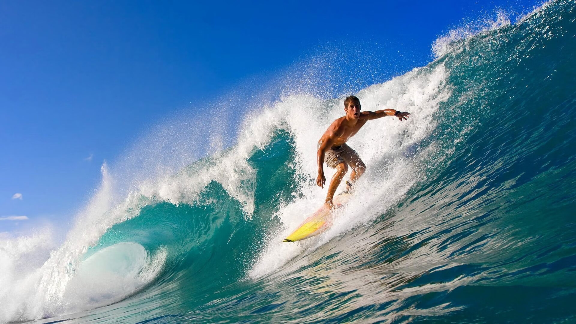 从戴维斯杯绝杀到ATP总决赛封王，兹维列夫状态火热的背后是网球新秩序的崛起